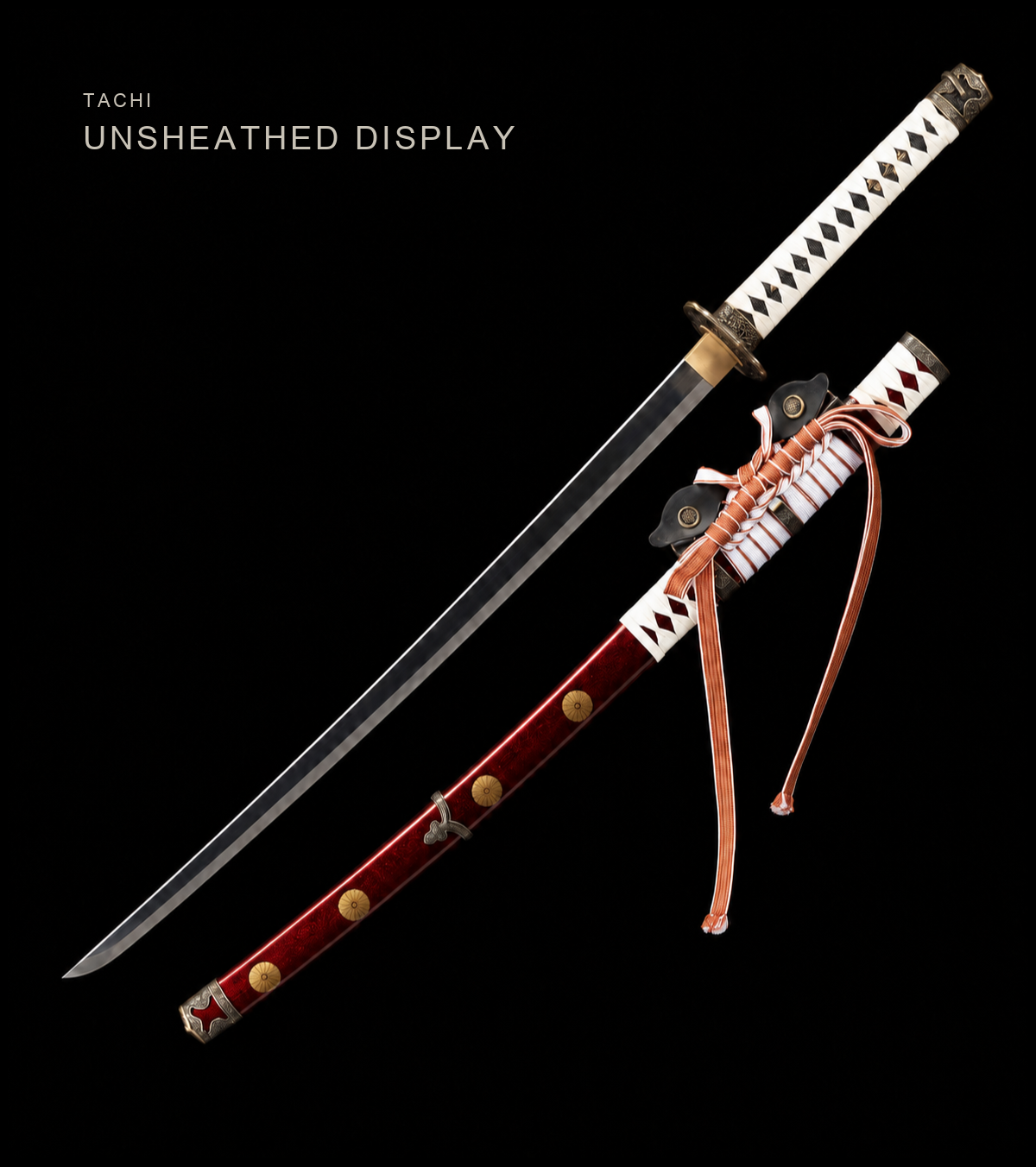 Unsharpened Collector Tachi — 5160 Spring Steel, Mirror Polish, Alloy Mounts — view 1
