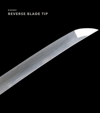 Unsharpened Platinum-Tone Collector Katana — 1065 Steel, White Dragonfly Tsuba — gallery image 7