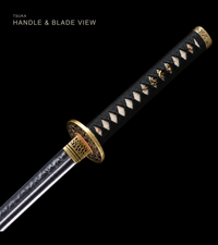 Unsharpened Night Owl Collector Katana — Mirror-Polished 5160, Wild Rayskin — gallery image 4