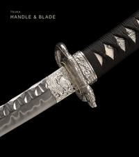 Unsharpened Basin Dragon Collector Wakizashi — Clay-Tempered T10, Hammered Finish — gallery image 4