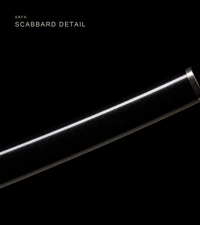 Unsharpened Basin Dragon Collector Wakizashi — Clay-Tempered T10, Hammered Finish — gallery image 5