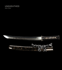 Unsharpened Nickel-Silver Collector Wakizashi — Full-Hardened T10, Presentation Box — gallery image 4